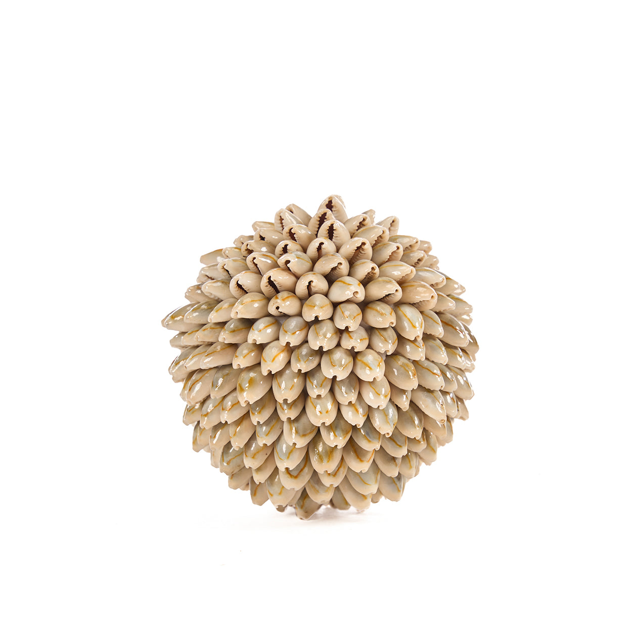 La Balle Coquille Oluolu - P