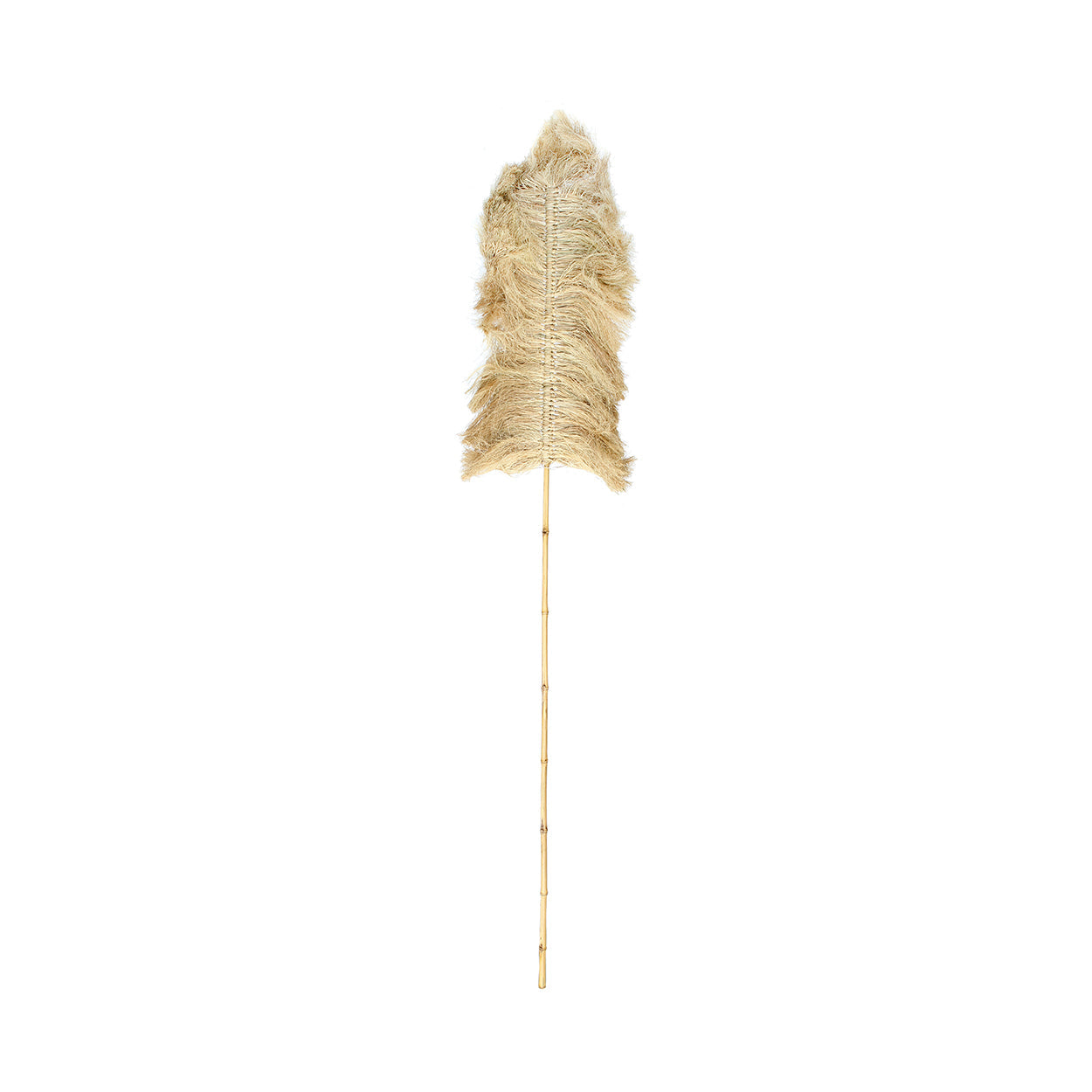 Le Palmier Raphia - Naturel