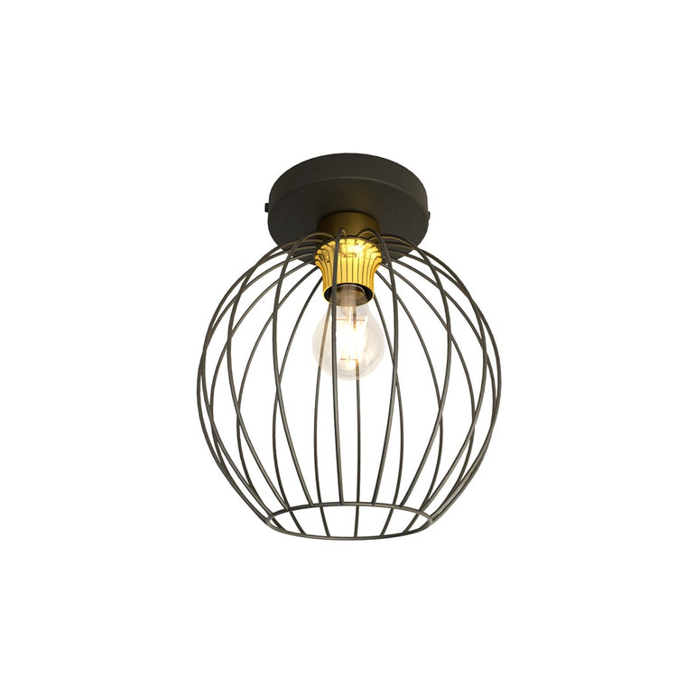 NEST 1 BL GOLD