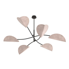 LOTUS 6 BL GRAY