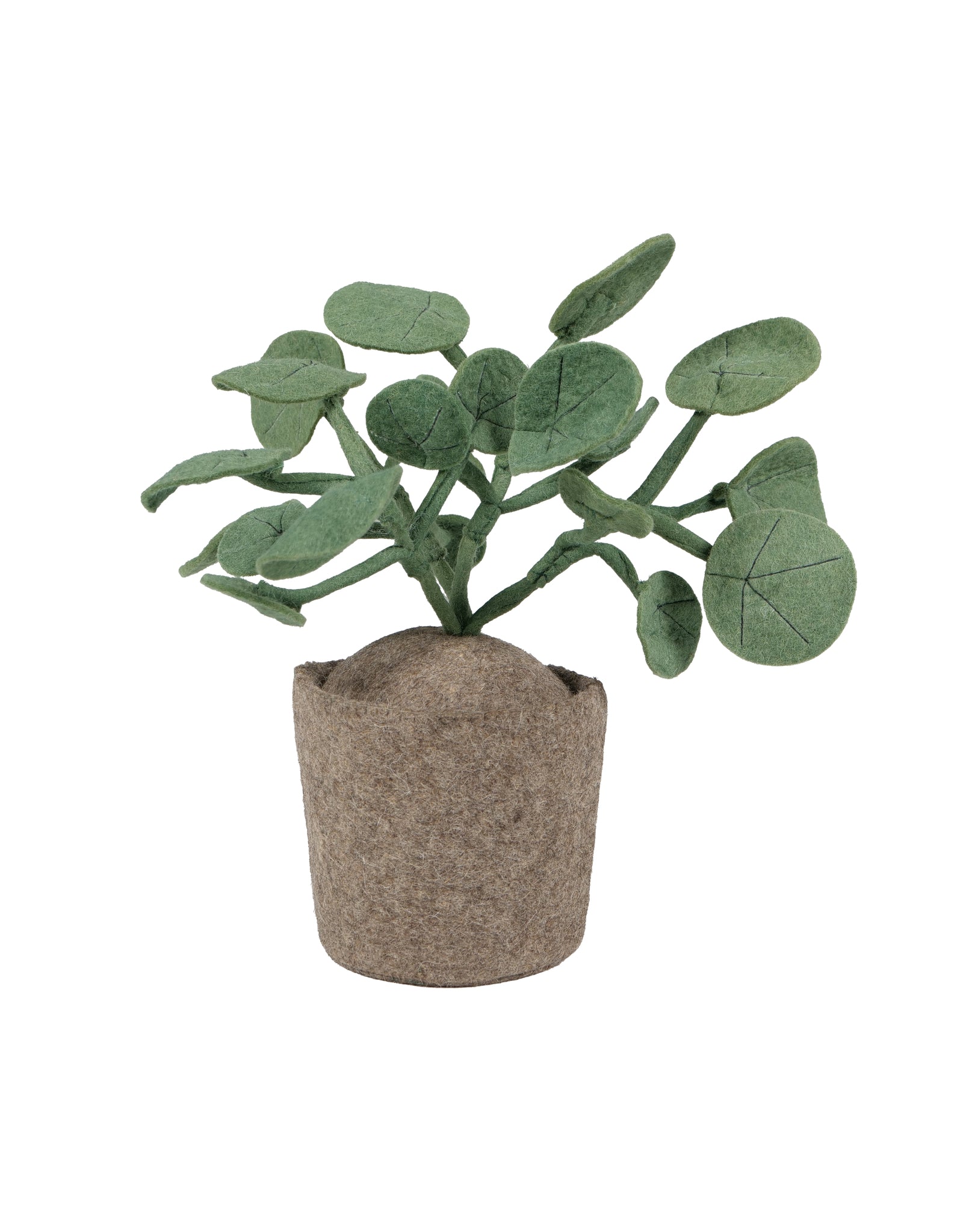 KidsDepot plant Pileo Pepero - Green