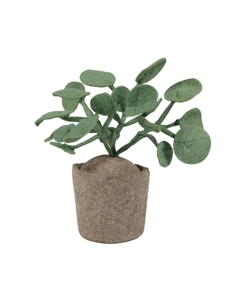 KidsDepot plant Pileo Pepero - Green