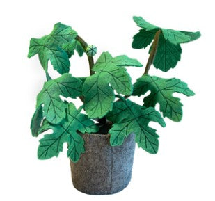 KidsDepot Ficus Carica plant - Green