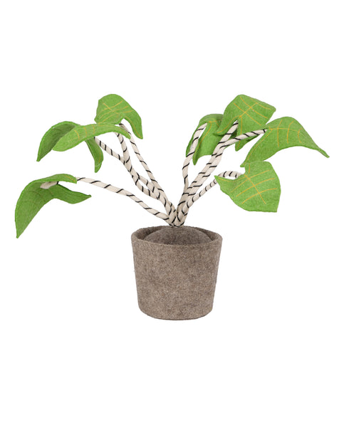 KidsDepot Zebrina plant - Green
