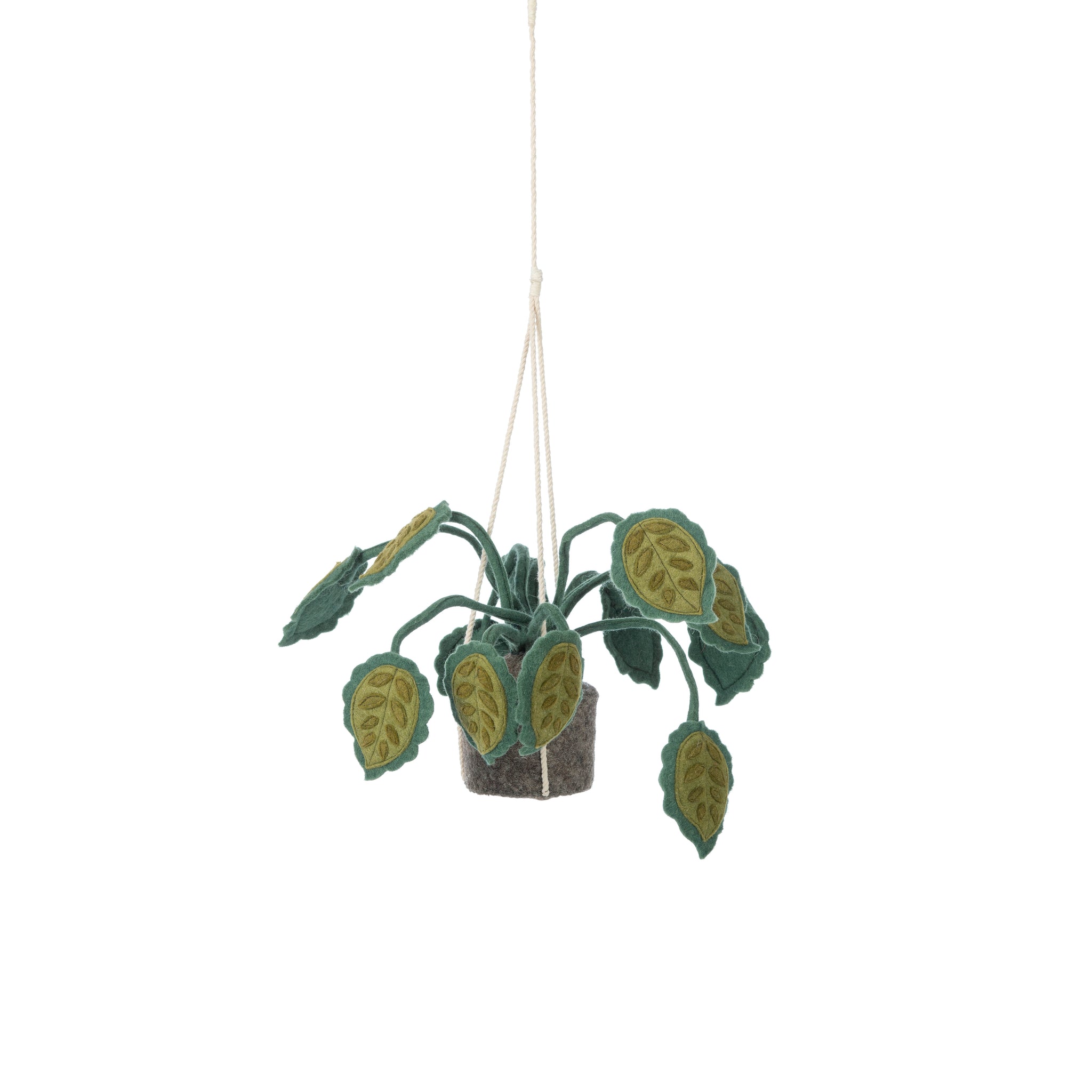 KidsDepot plant Big Leaves - Green