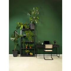 Workliving Low Dining Chair - Black Rattan Design