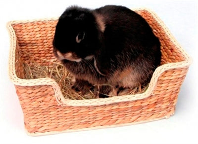 ROSEWOOD CHILL 'N' SNOOZE RODENT BED 33 x 26 cm