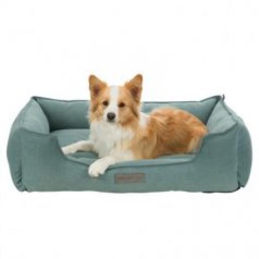 TRIXIE COUSSIN TALIS VERT MENTHE 100 x 70 cm