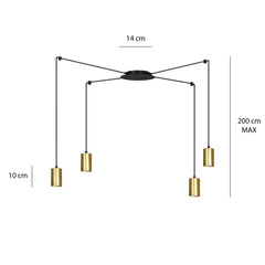 TRAKER 4 BL/GOLD