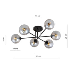"ROMA 6 BL GRAPHITE"