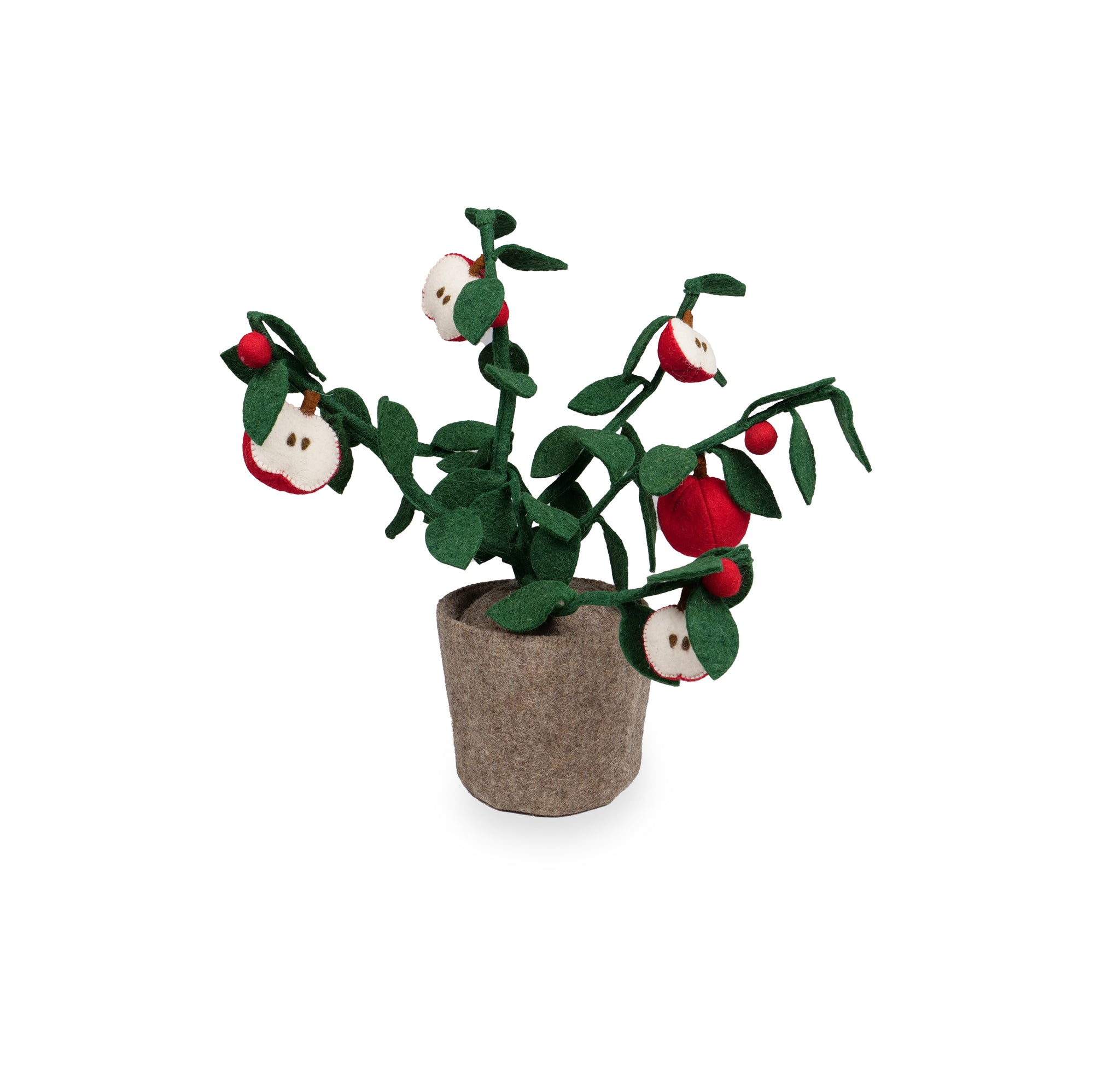 Kidsdepot Apple plant - red