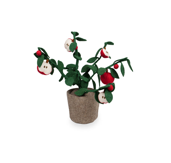 Kidsdepot Apple plant - red