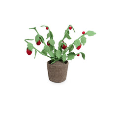 Kidsdepot Fraisier - rouge