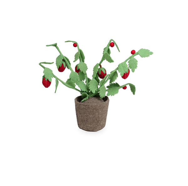 Kidsdepot Fraisier - rouge