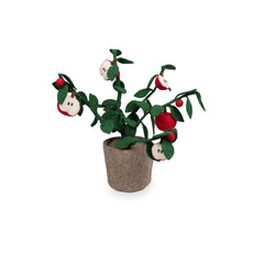 Kidsdepot plant appel - rood