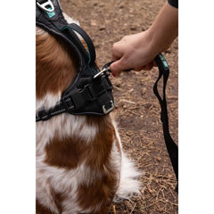 Dog harness - SYMBIOZ - L - Black/Blue