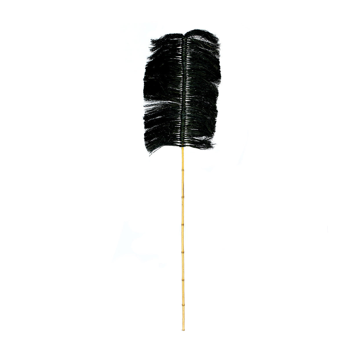 The Palm Raffia - Black