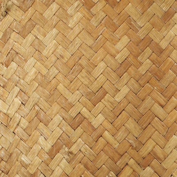 "The Warrior on Stand"