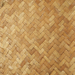 "The Warrior on Stand"