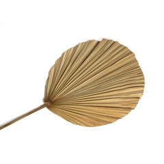 The Rayung Leaf - Natural