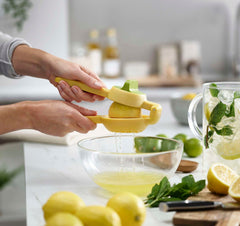 JuiceMax Dual-Action Citrus Juicer