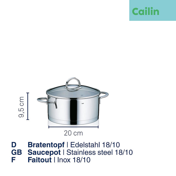 Cailin Frying Pan with Lid 3 liters