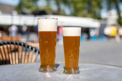 Verre à bière Superglas Club n° 10 300 ml - Lot de 48 pièces