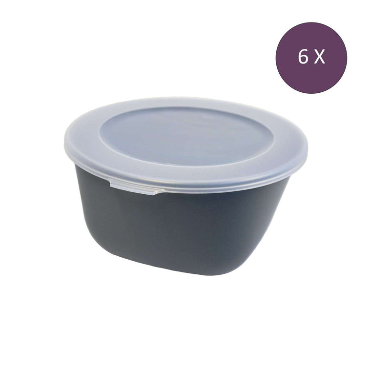 Move Connect Box Scale with Lid 1 liter Set of 6 Pieces